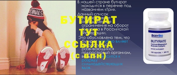 индика Елабуга