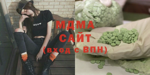 индика Елабуга