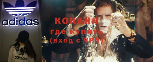 индика Елабуга