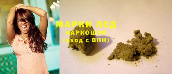 индика Елабуга