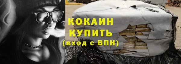 индика Елабуга