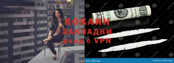 индика Елабуга
