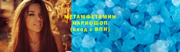 индика Елабуга