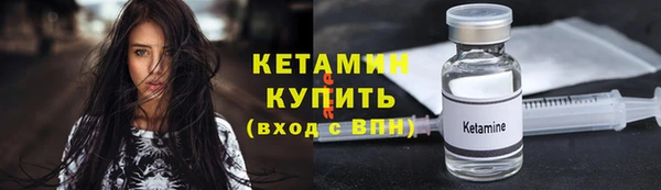 индика Елабуга