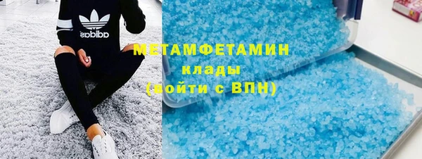 индика Елабуга
