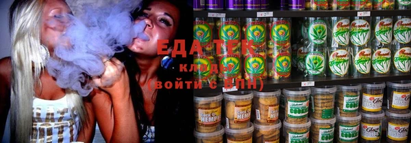 индика Елабуга