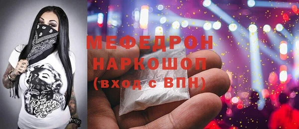 индика Елабуга