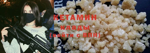 индика Елабуга