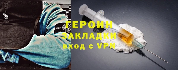 индика Елабуга